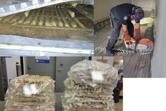 Detectan narcóticos entre fruta en garita de Nogales