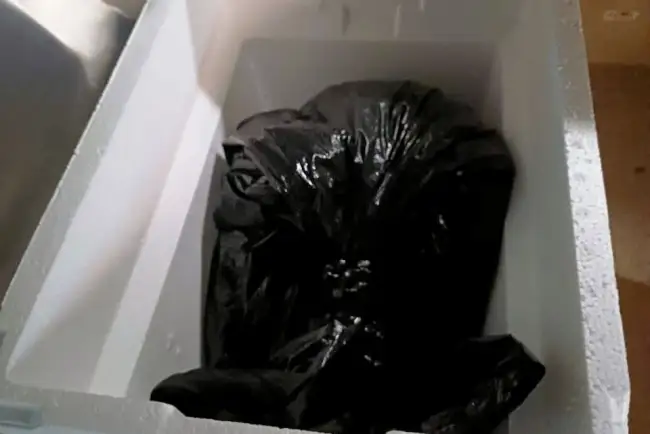 Se niegan autoridades recoger cuerpo de un mono araña sin vida