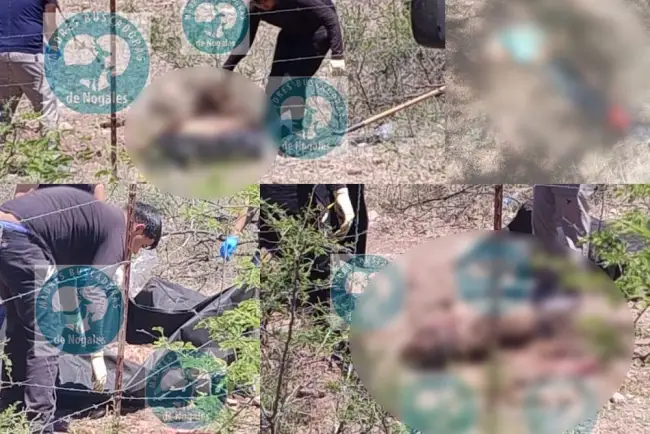 Encuentran más cuerpos en diferentes lugares de la ciudad