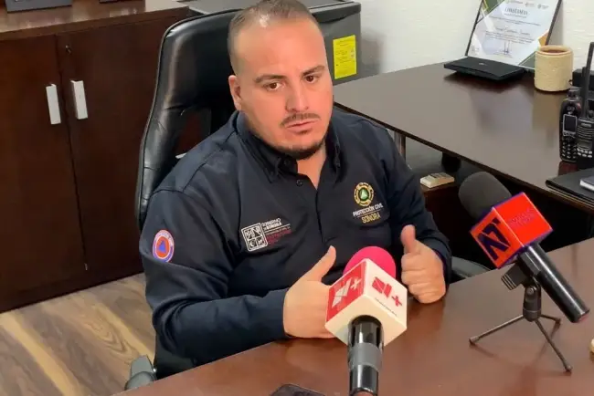 Afectan incendios forestales al sur del Estado