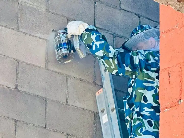 Remueven panal de abejas que perjudicaba a residentes de la Héroes