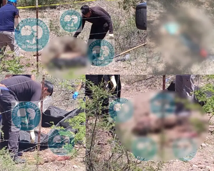 Encuentran más cuerpos en diferentes lugares de la ciudad