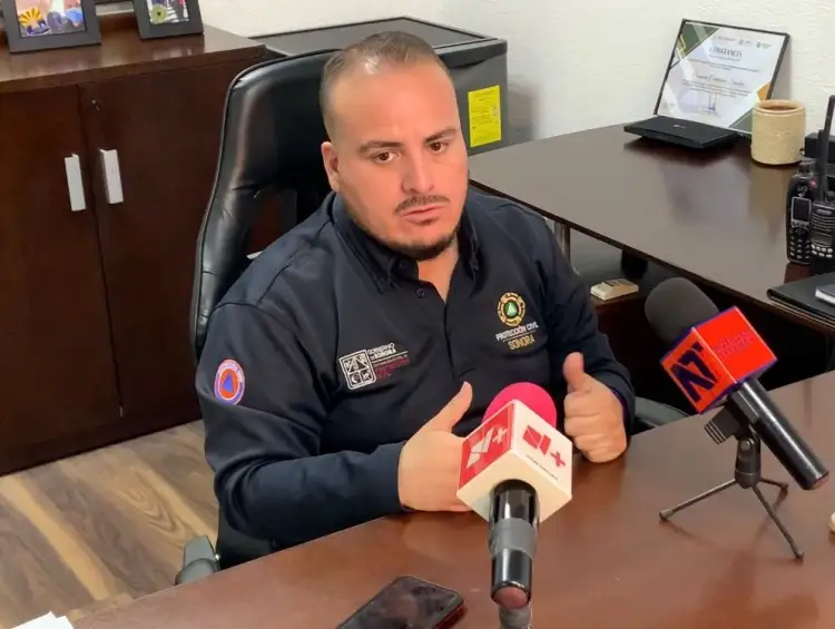 Afectan incendios forestales al sur del Estado