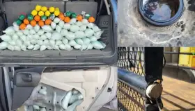 Decomisan más de un millón de pastillas de fentanilo en garita de Arizona
