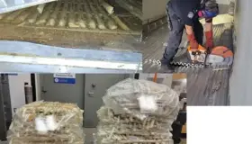 Detectan narcóticos entre fruta en garita de Nogales