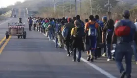 Aumentan trasladados por inseguridad según la OIM