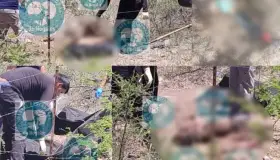 Encuentran más cuerpos en diferentes lugares de la ciudad