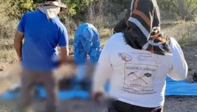 Suman hasta 10 cuerpos encontrados en fin de semana por colectivos de búsqueda