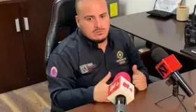 Afectan incendios forestales al sur del Estado