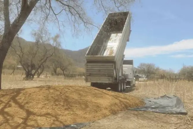 Continúa entrega de alimento a ganaderos ante sequía