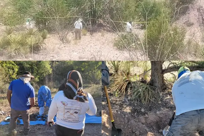 Localizan dos cuerpos más que estaban enterrados en un predio despoblado