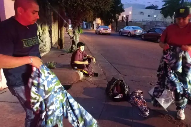 Trabajan en la preservación de la abeja dentro de la ciudad