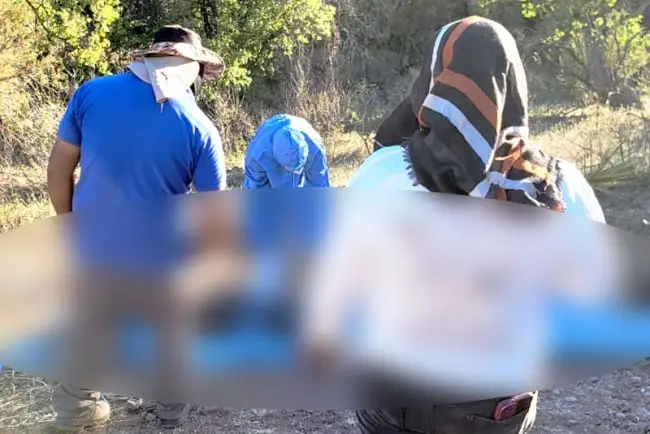 Informan hallazgo de más de 10 cuerpos en ‘La Comaya’