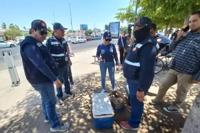 Brindan refugio del calor a más de 60 personas