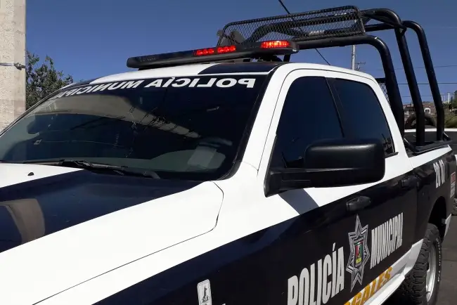 Ponen denuncia sobre maltrato animal en la Bella Vista