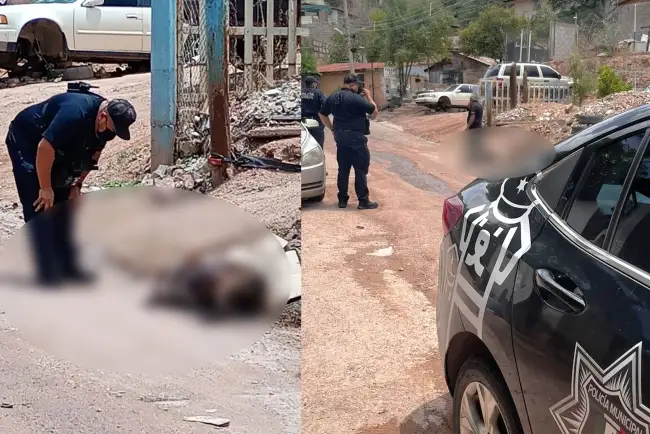 Atienden caso de cadaver de un perro en colonia La Brisa