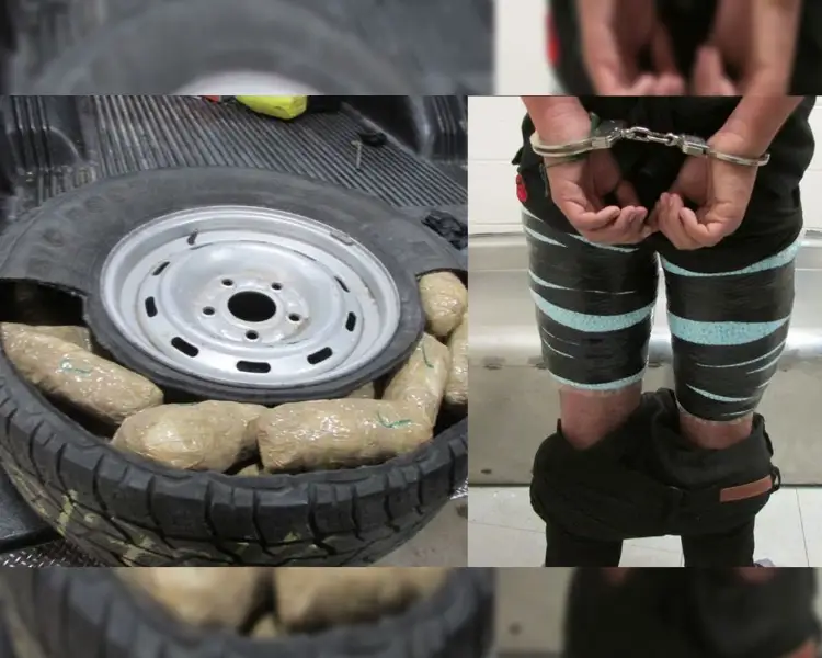 Incautan en garitas de AZ más de 330 mil pastillas de fentanilo