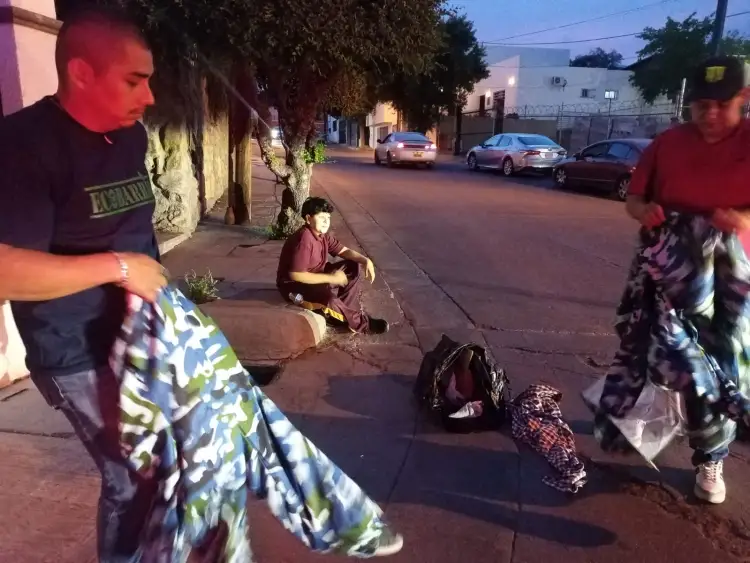 Trabajan en la preservación de la abeja dentro de la ciudad