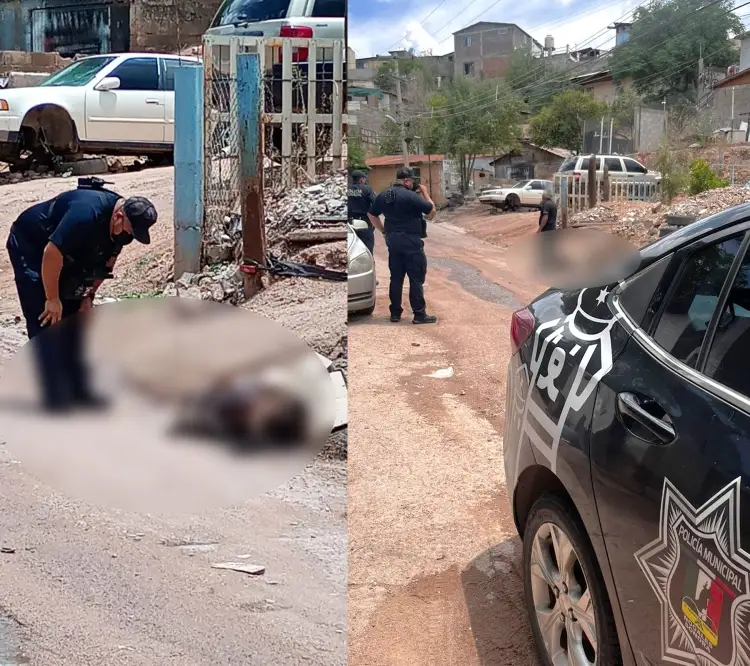 Atienden caso de cadaver de un perro en colonia La Brisa