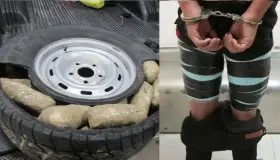 Incautan en garitas de AZ más de 330 mil pastillas de fentanilo