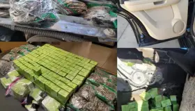 Decomisan cartuchos de diferentes calibres