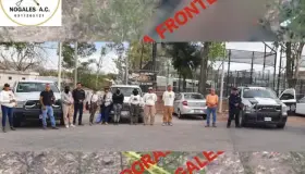 Encuentran más cuerpos en predio ‘La Comaya’