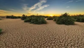 Sumando esfuerzos por un planeta más verde: Día Contra la Desertificación y la Sequía