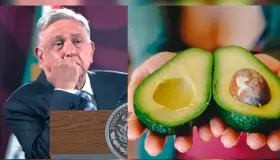 "No es el modito" afirma AMLO por freno al aguacate a EU