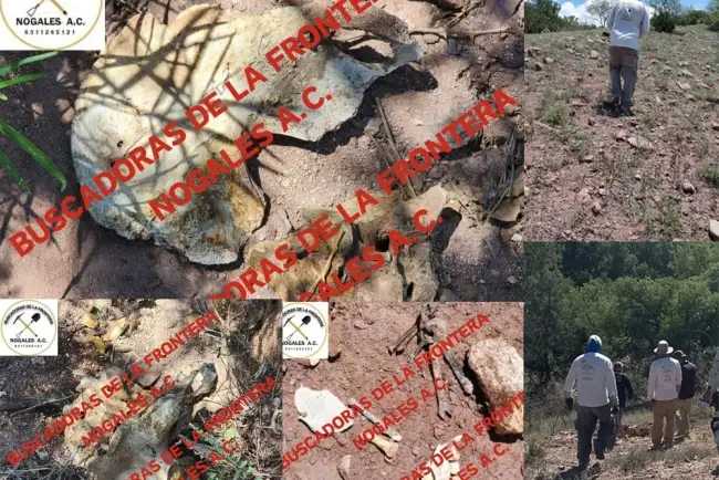 Encuentran Buscadoras de la Frontera restos óseos
