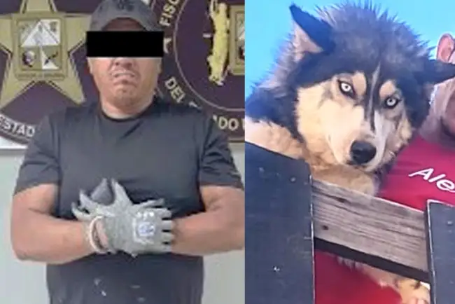 Detienen a presunto asesino de perrita “Mía”