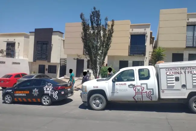 Sin resolver caso de adulto mayor que fue atacado por perros