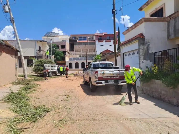 Reportan pocas afectaciones por recientes lluvias