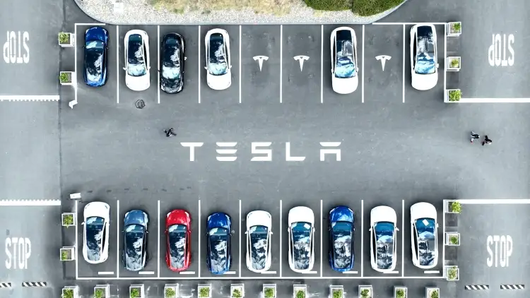 Podría T-MEC ser otro factor para que planta Tesla no abra en Nuevo León: Expertos