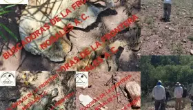 Encuentran Buscadoras de la Frontera restos óseos