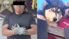 Detienen a presunto asesino de perrita “Mía”