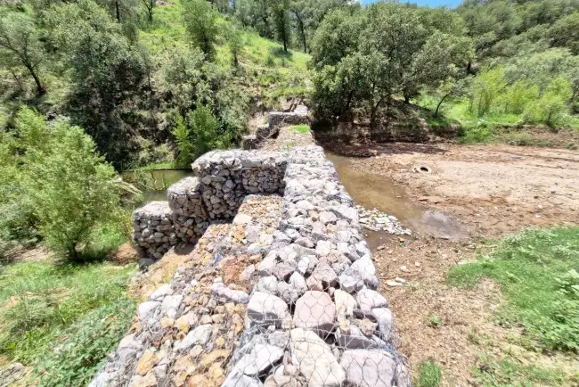 Monitorean gaviones de la periferia de la ciudad