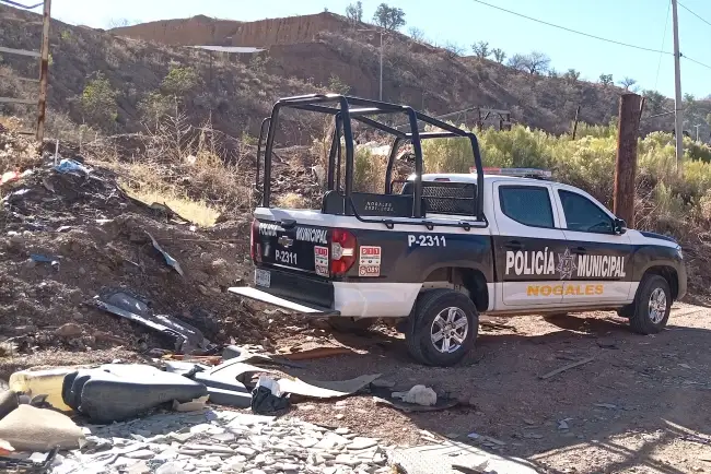 Encuentran a dos perros colgados; autoridades investigan