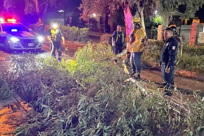 Provoca lluvia de madrugada daños y afectaciones