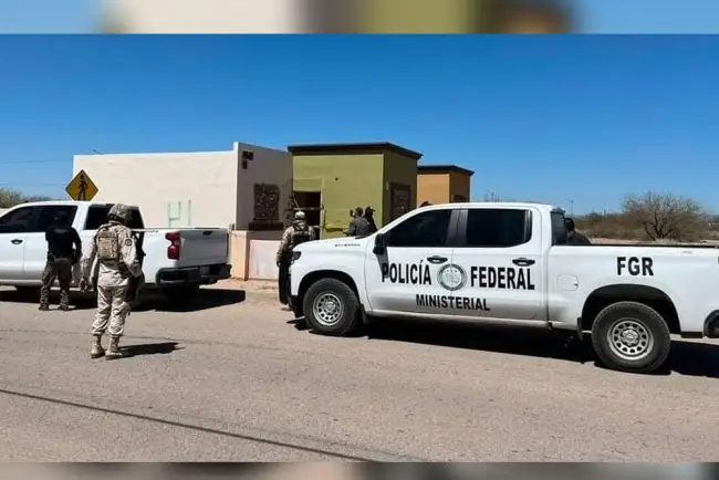 Aseguran en tractocamión más de 50 mil pastillas de fentanilo