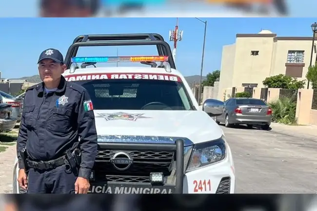 Reportan violenta muerte de un pequeño perro