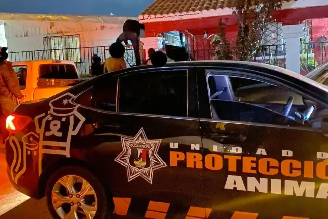 Agrede mujer a su vecina y mascota