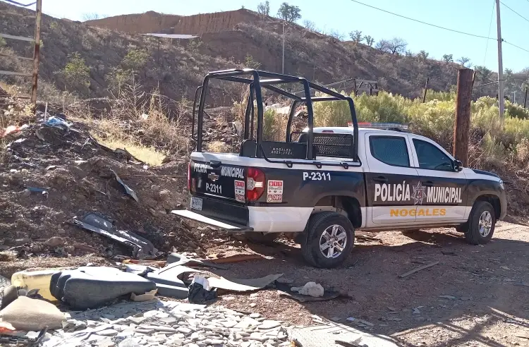 Encuentran a dos perros colgados; autoridades investigan