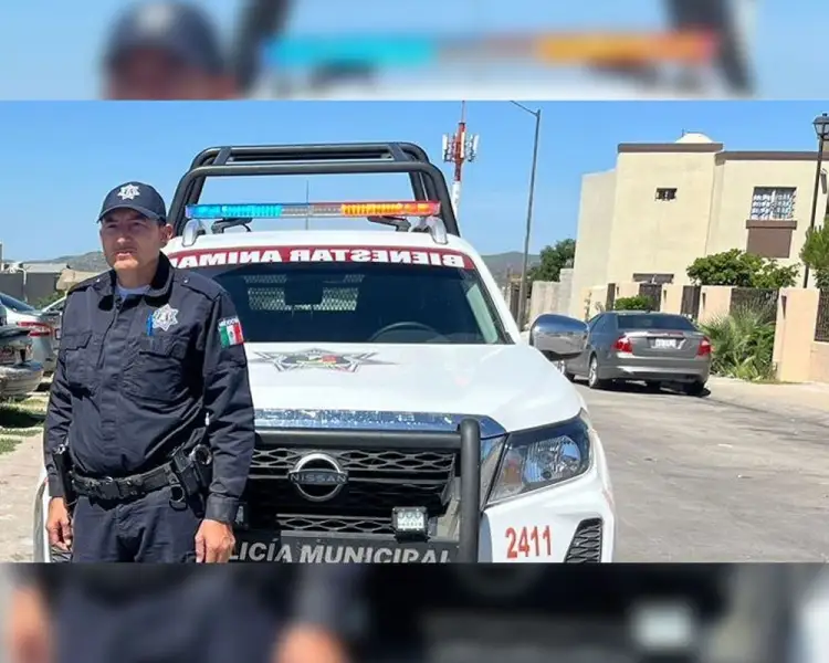 Reportan violenta muerte de un pequeño perro