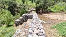 Monitorean gaviones de la periferia de la ciudad