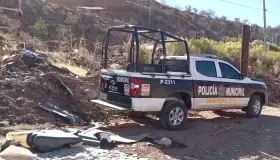 Encuentran a dos perros colgados; autoridades investigan