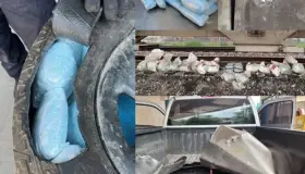 Cae en frontera más narcóticos sintéticos