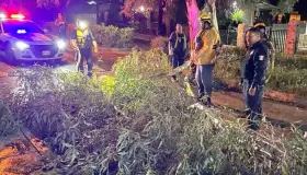 Provoca lluvia de madrugada daños y afectaciones