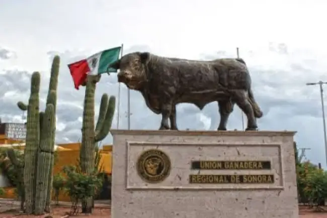 Asegura FGJE hay avances en homicidio de ganadero