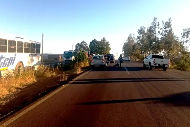 Es atropellado al cruzar la carretera internacional