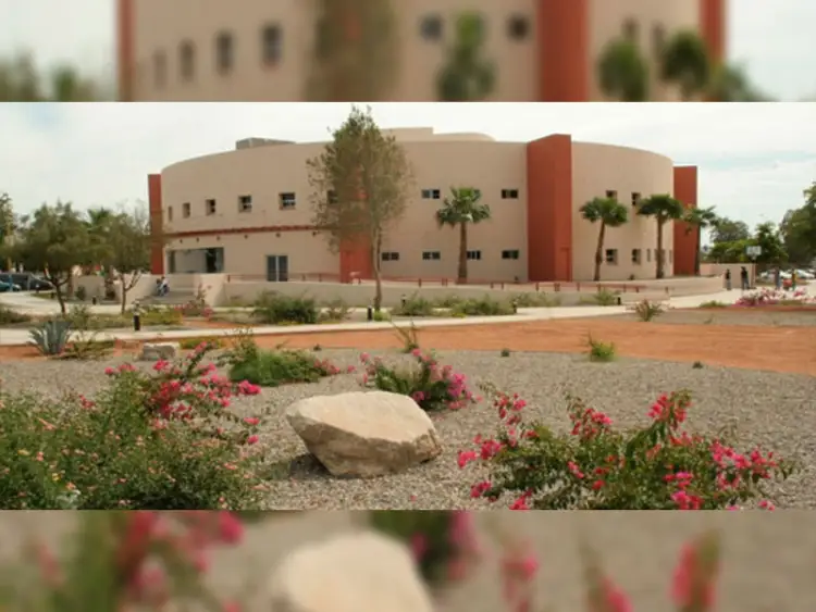 Celebrará la Unision Nogales su 20 aniversario